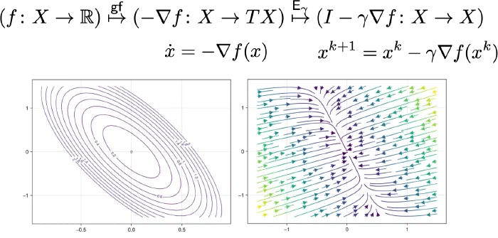 Gradient flow and its Euler discretisation, drawn as a chain of functors over a contour plot and a stream plot